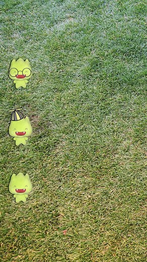 it?s the great Gremmie race! did ur Gremmie make it to the finish line first?? ? #Gremmie #DistroKid #Gremmierace