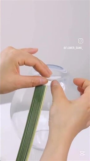 DIY Nature Art: Stunning Crafts Using Plant Leaves 🍃