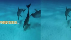 AR到底多好玩：未来技术畅想AR技术应用AI绘图多酷炫机器人全自动化趋势省力高效第28期-3