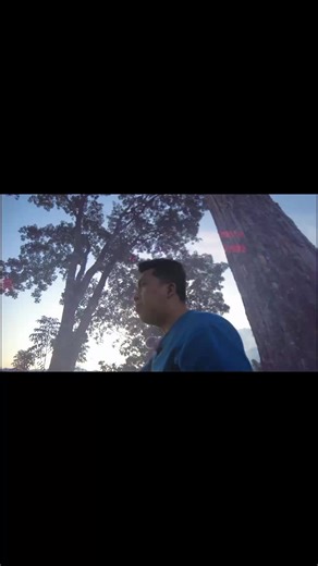 Complete vs Incomplete Flowers #LEAREVIEW #flowers #Comoleteflowers #IncompleteFlowers #agriculturist #boardexam #trivia | War-Agritech-Tv