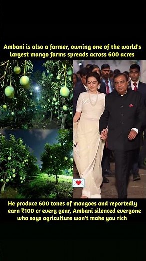Mukesh Ambani owns one of the world’s largest private mango farms, spread across nearly 600