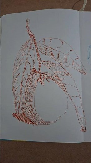 How to Draw an Orange with Pen and Ink | Simple Sketch