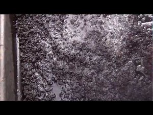 Preparing Biochar for your garden