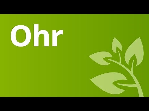 Das Ohr: wie der Hörvorgang abläuft | Biologie | Mensch