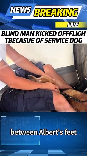BLIND MAN KICKED OFFFLIGHTBECASUE OF SERVICE DOG#news
