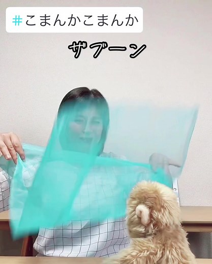 🌊夏にお子さんと楽しめるわらべうた #こまんかこまんか 🌊 絵本が好きになる #絵本教室 《キッズブックスペース》 次回の絵本講座KBS ⇒ 9/1（日）👻おばけの絵本👻 #東京都国立市 リトマスにて開催🐰 お申し込みはこちら▼ https://www.kidsbook.jp/kbs-国立/ #絵本教室キッズブックスペース Instagramは @kidsbookspace_kbs プロフィールリンクからどうぞ🔎 ---------- #わらべうた #てあそび #手遊び歌 #子どもとスキンシップ #子どもの工作 #てあそびうた #わらべうた遊び #梅雨に楽しめるわらべうた #KBS #キッズブックスペース #わらべうたうたい