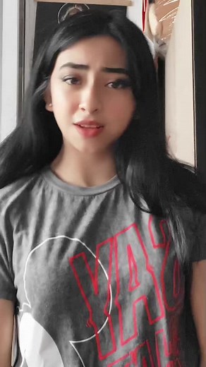 Playful Interaction with a Lovable Pug