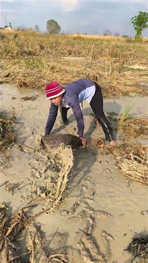 How to find fish for the villagers