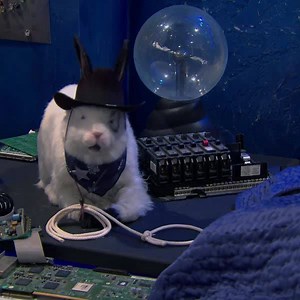 Happy National Cowboy Day, cowpoke! | The Thundermans