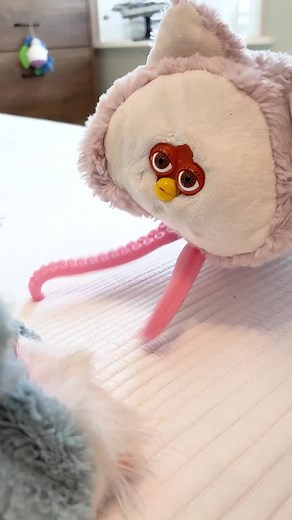 Funny Long Furby Moments That Will Make You Laugh