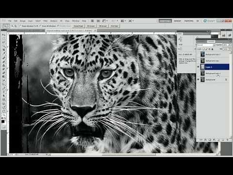 Photoshop separations for grayscale.avi