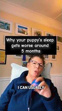 Your Puppy’s Sleep Just Got Worse at 5 Months… Here’s Why