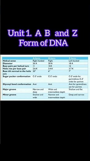 #Types of DNA🧬 #ABZ form of DNA🧬# imp topic for csir net #DNA #shorts