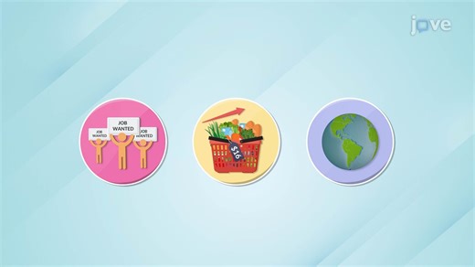 Video: What is Macroeconomics? - Concept