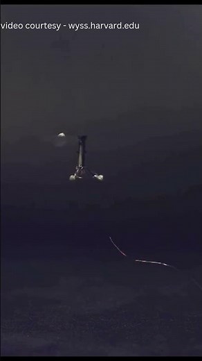 🐝 RoboBees Are Alive! Tiny Flying Robots Changing the Future!
