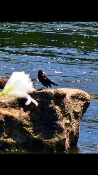 Springtime Adventures are right around the corner. We have so many new experiences waiting on you! Follow us for updates. | NC Outdoor Adventures