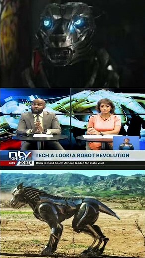 Young African Inventor Builds Groundbreaking Robot Dog | NTV Kenya Story.