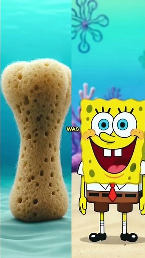 The Real Origin of SpongeBob SquarePants (The True Story Behind the Cartoon)