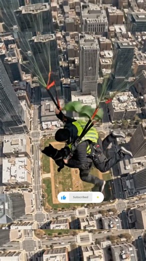 Belgian K9 building assault is insane #malinois #dogtraining #k9