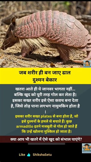 जब शरीर ही कवच बन जाए… तो डर खत्म #shorts #facts #shikhshashetu #amazingfacts #allfacts