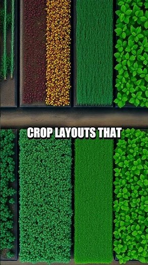 Seasonal Redstone Farming: Automating Crop Rotations in Vanilla Minecraft
