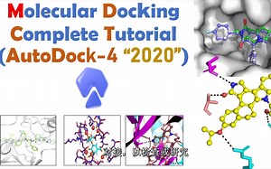 分子对接软件之AutoDock的使用简介