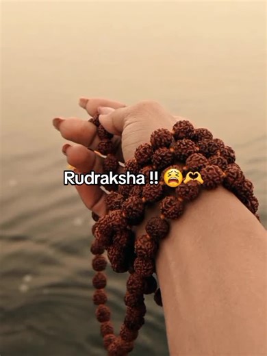 Understanding Rudraksha: Significance and Benefits