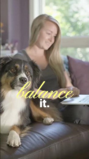 Teach Your Dog Catch