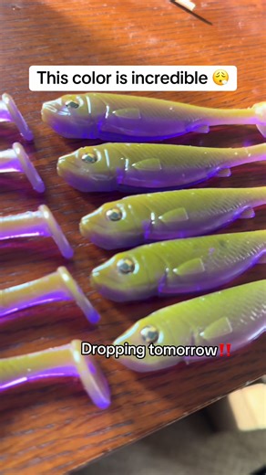 This color is insane!! Dropping tomorrow Baldwinbaits.com #fishing #saltwaterfishing #bassfishing #fishingtackle #swimbait