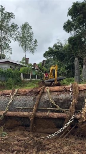 Info Toraja Official on Instagram: "Tarek Batu Simbuang di Rambu Solo’ Marthen Tonapa Parrangan Sabtu, 13/7/2024"