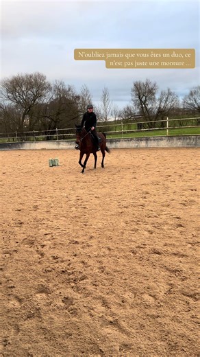 🫶 #cavaliere #equitation #horsegirl #amour #cheval
