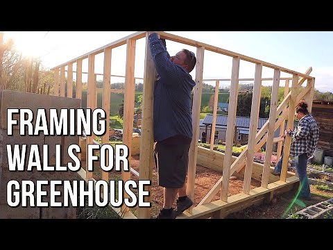 Framing the Walls of Our Greenhouse! - DIY Greenhouse Build #3