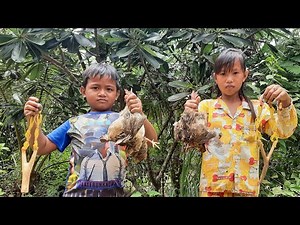 amazing slingshot bird hunting