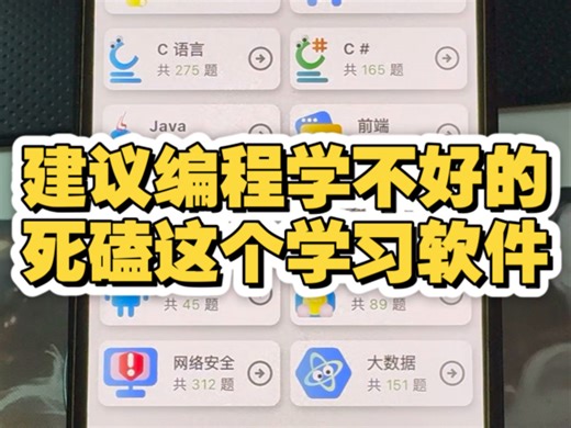 这个堪称2025年度伟大编程学习软件，后悔太晚知道了