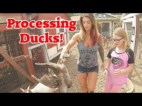Processing Duck at Home | Butchering A Duck