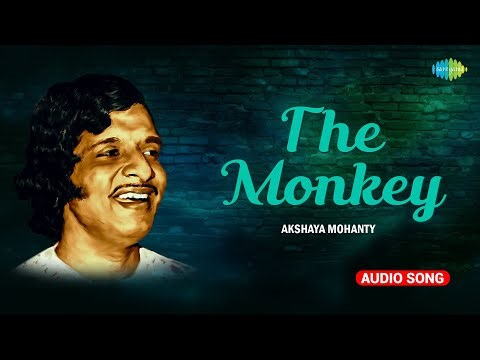 The Monkey | Akhshay Mohanty | Evergreen Odia Songs | Old Odia Song| Akshay Mohanty Hit Song