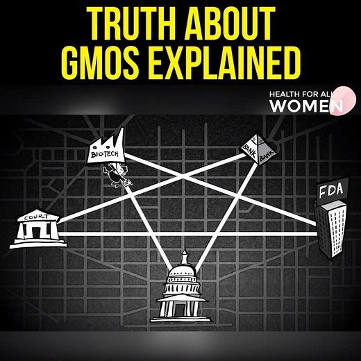 2.3K views · 20 reactions | GMO A Go Go - Truth about GMOs explained in new animated cartoonthis new animated cartoon covers all the basics on why GMOs are dangerous! | Health For All Women | Facebook