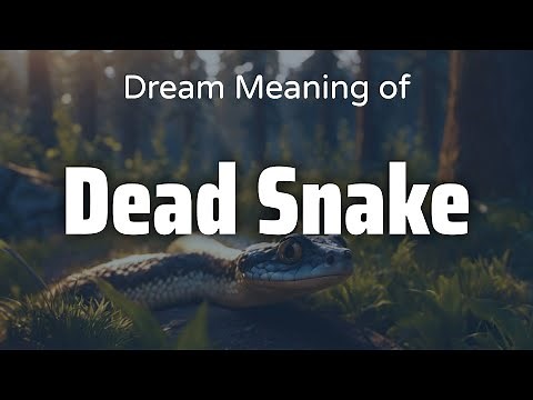 Dead Snake Dream Meaning & Symbolism | Interpretation Psychology
