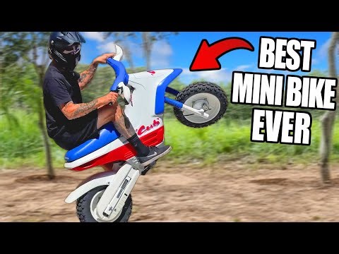 The RARE Mini Bike Everyone NEEDS! Honda Cub EZ90