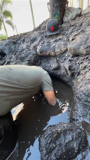 Dove into a mud hole to catch a Turtle! 🐢 #mud #turtle #animals #outdoors | Nick The Wrangler