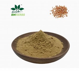 [Hot Item] Premium Euryale Ferox Extract 10: 1 for Natural Wellness