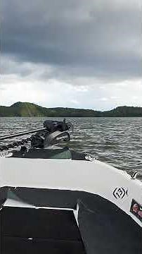 Honda BF30 Boat Engine Sound & Performance – Real Water Test