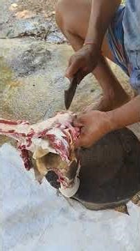 Tasting the Best Goat Meat - Is It Worth the Hype?