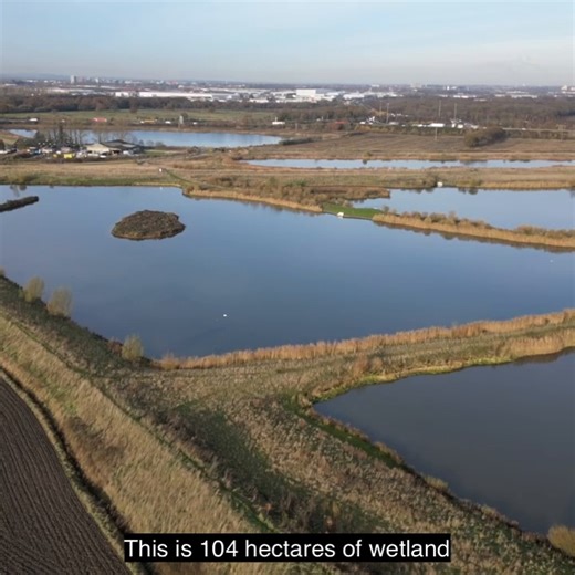 5.1K views · 38 reactions | Thanks to funding from LNER, Yorkshire Wildlife Trust transformed unused land into Parson’s Carr Nature Reserve. Our Customer and Community Investment Fund helped establish a 'wildlife corridor' for dragonflies, marsh harriers, and brown hares, as well as ponds, grassland, and crops for turtle doves, yellowhammers, and grey partridges. Check out the video below, or head to https://spkl.io/6182fQMqQ to learn more. | London North Eastern Railway | Facebook
