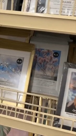 108K views · 376 reactions | Calling all plant lovers... This Dollar Tree DIY is for you!華✨ With just some frames and E6000 glue, you can create a stunning fake high-end plant terrarium that no one will believe you made!  Whether you have a green thumb or not, this DIY is perfect for adding a fresh and stylish vibe to any space.  | DIY with Hometalk | Facebook