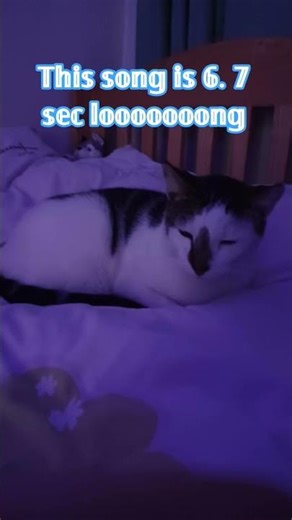 𝕥𝕙𝕚𝕤 𝕤𝕠𝕟𝕘 𝕚𝕤 𝟞. 𝟟 𝕤𝕖𝕔𝕤 𝕝𝕠𝕠𝕠𝕠𝕠𝕟𝕘