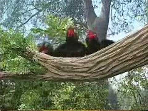 Sesame Street - One And Two And Three