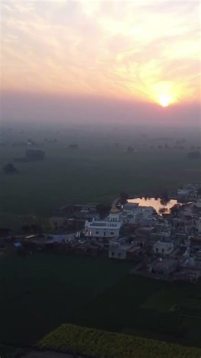 Golden Sunset Over My Farm 🌾 | Drone View #aerialview #sunset #punjab #sunsetphotography