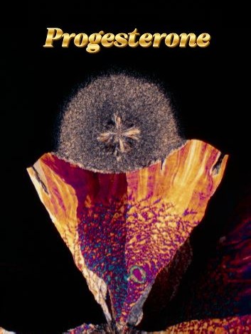 Welcome to this series on Progesterone. Sources below so you can learn more. ‘Menstrual cycle rhythmicity: metabolic patterns in healthy women’ https://doi.org/10.1038/s41598-018-32647-0 ‘Long-acting, progestin-based contraceptives and risk of breast, gynecological, and other cancers’ https://doi.org/10.1093/jnci/djae282 ‘Hormonal contraceptive use is associated with differences in women's inflammatory and psychological reactivity to an acute social stressor’ https://doi.org/10.1016/j.bbi.2023.1