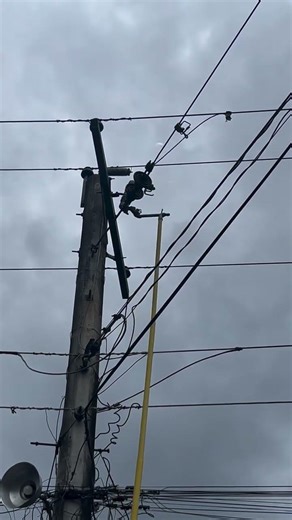 Why is the Fuse Returning? #lineman #safety #fuse #electric